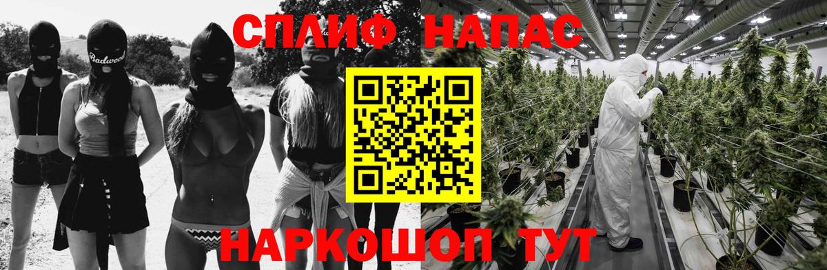 Бошки Шишки план Сосновоборск